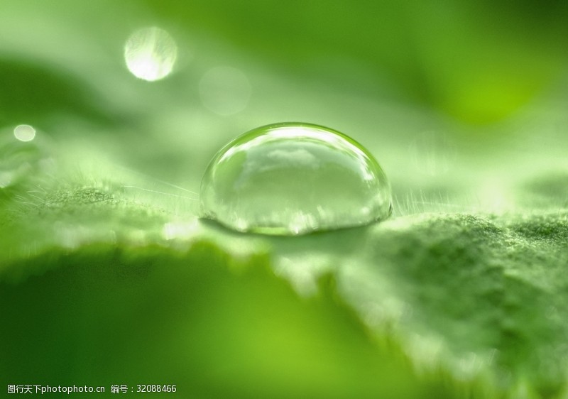 惊蛰节图片素材