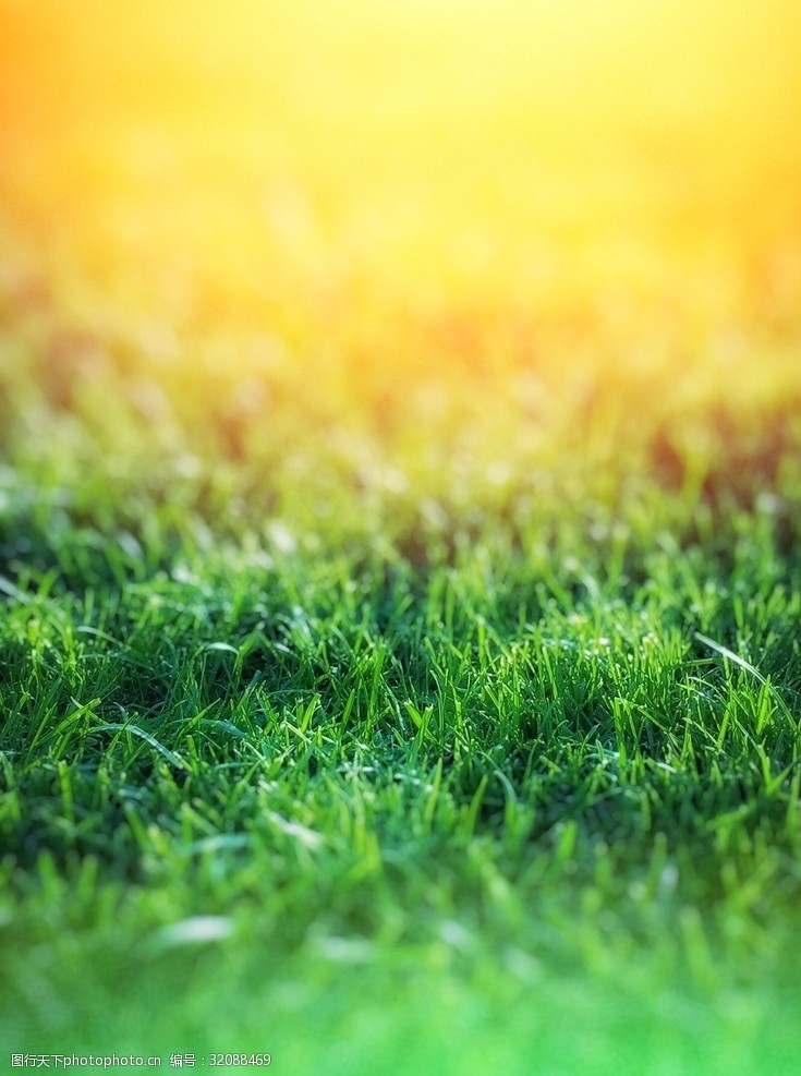 惊蛰节图片素材