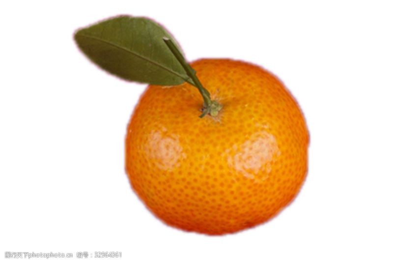 大橘子图片素材