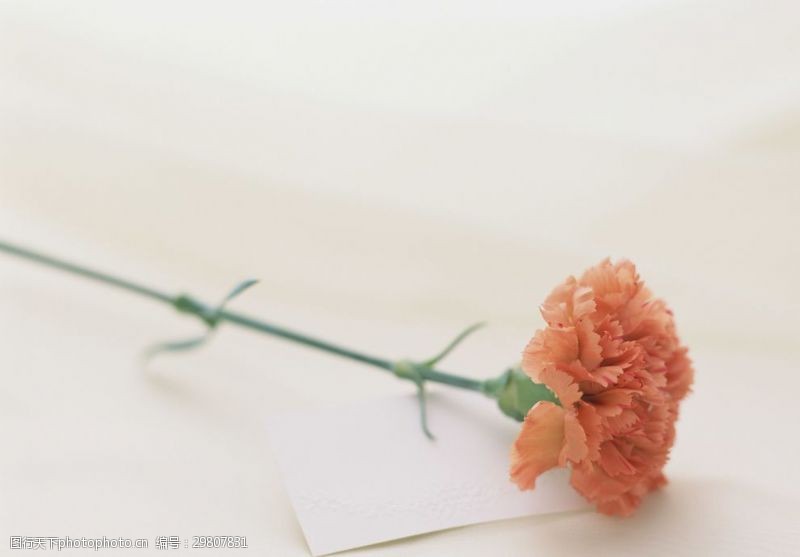 韩式婚礼婚礼花束