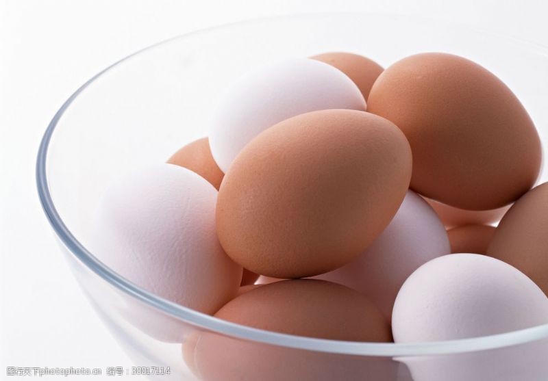 送鸡蛋鸡蛋