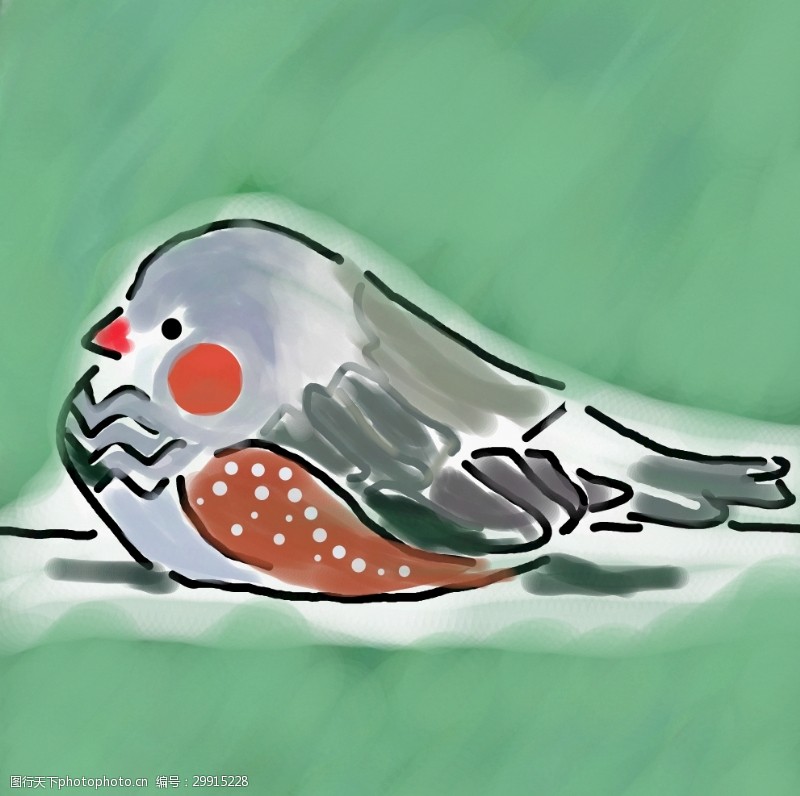雀斑斑胸草雀手绘图