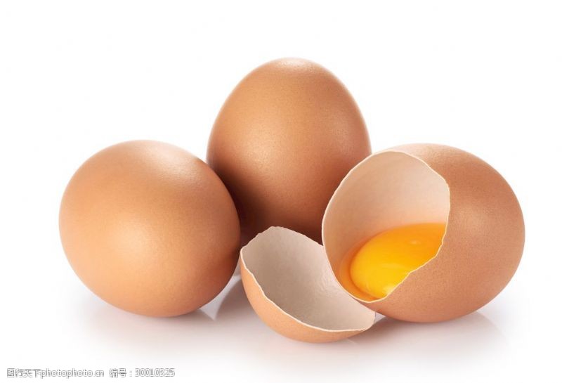 批发鸡蛋鸡蛋