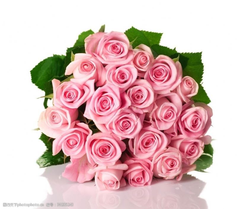 粉色玫瑰花束粉色的玫瑰花