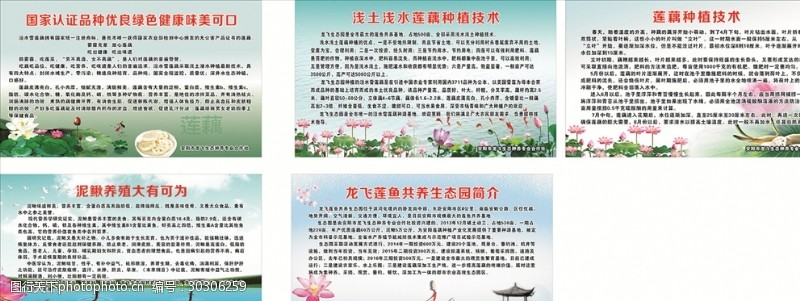 花鲢鱼莲藕生态园海报
