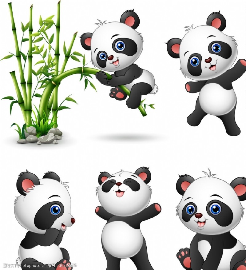 宠物背景熊猫插画