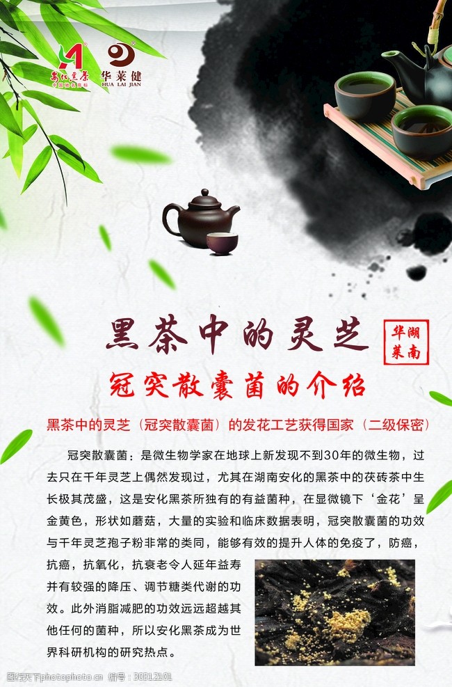 茶文化展板安化黑茶海报