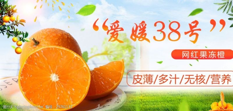 爱媛38号果冻橙banner