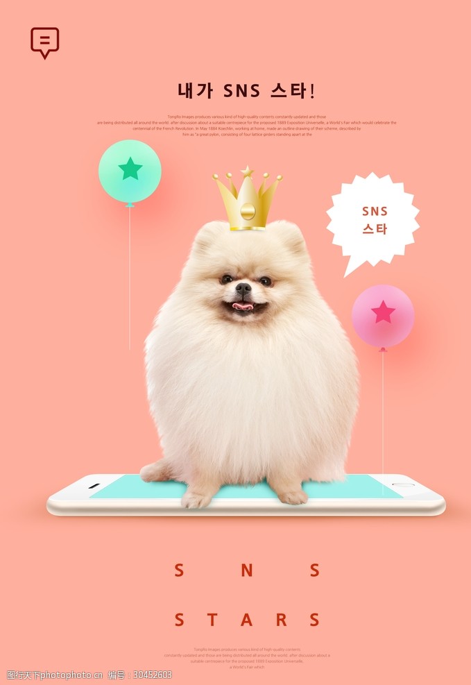 宠物店海报宠物简约时尚海报10