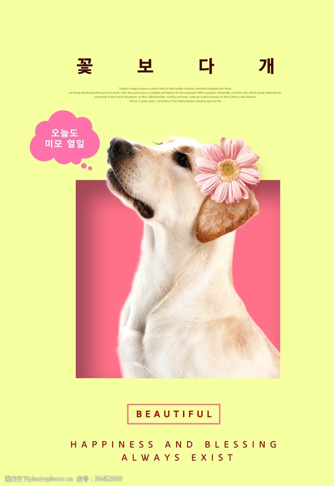 宠物店海报宠物简约时尚海报13