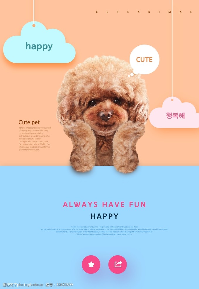 宠物店海报宠物简约时尚海报4