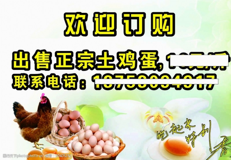 无污染宣传海报出售土鸡蛋宣传图