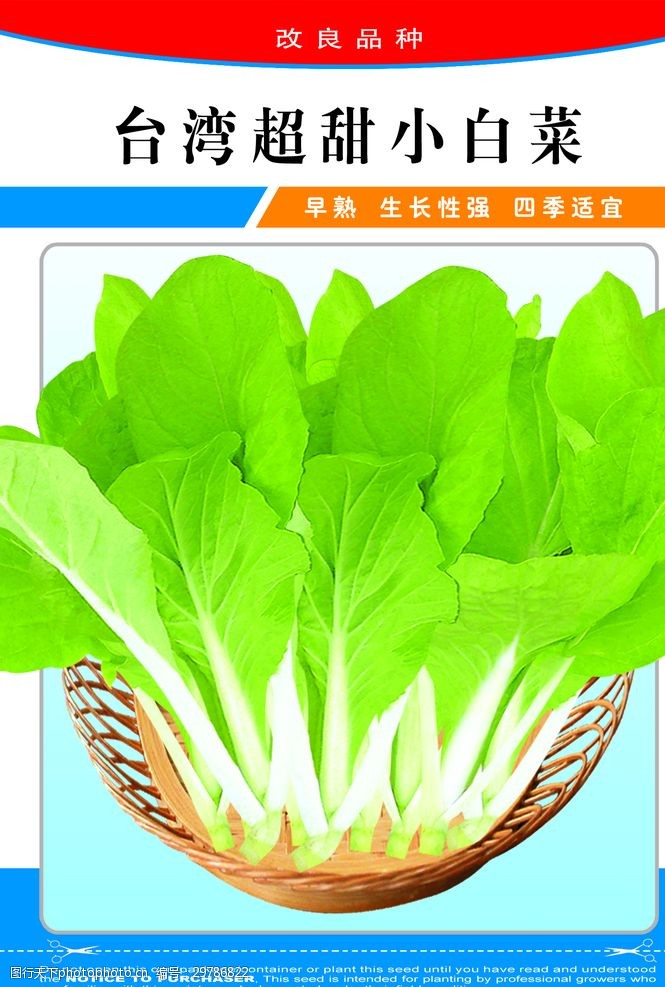 绿色食品海报蔬菜水果水果蔬菜蔬菜海报