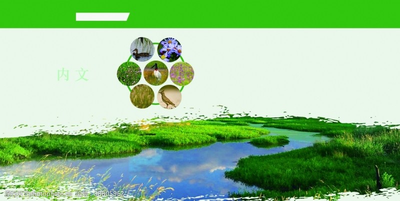 平衡木绿背景图片湿地