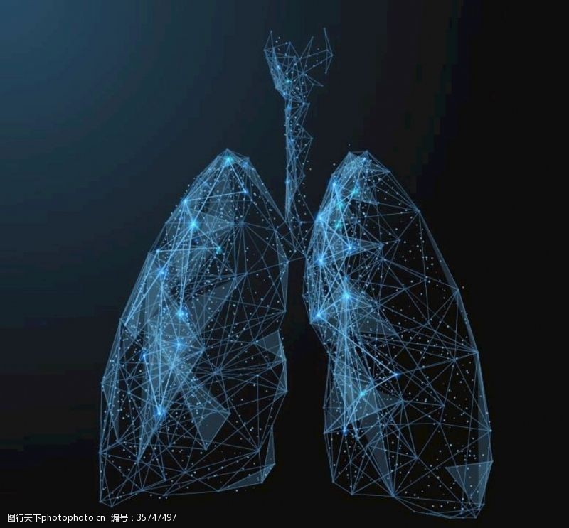 人体器官图科技线条肺部轮廓矢量素材