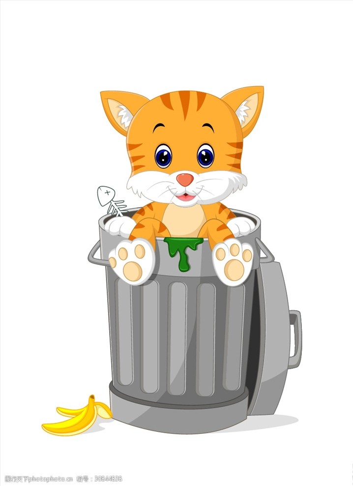 猫抓鱼垃圾桶里的小猫