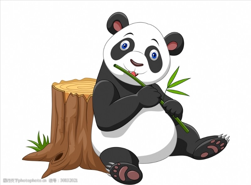 野猪形象可爱熊猫吃竹子