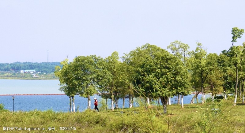 城市湿地公园景观