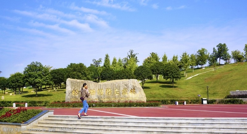 城市湿地国际友谊林