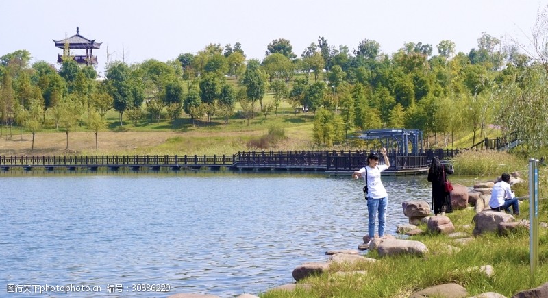 城市湿地湖畔风景