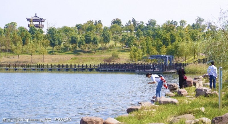 城市湿地湖畔景观