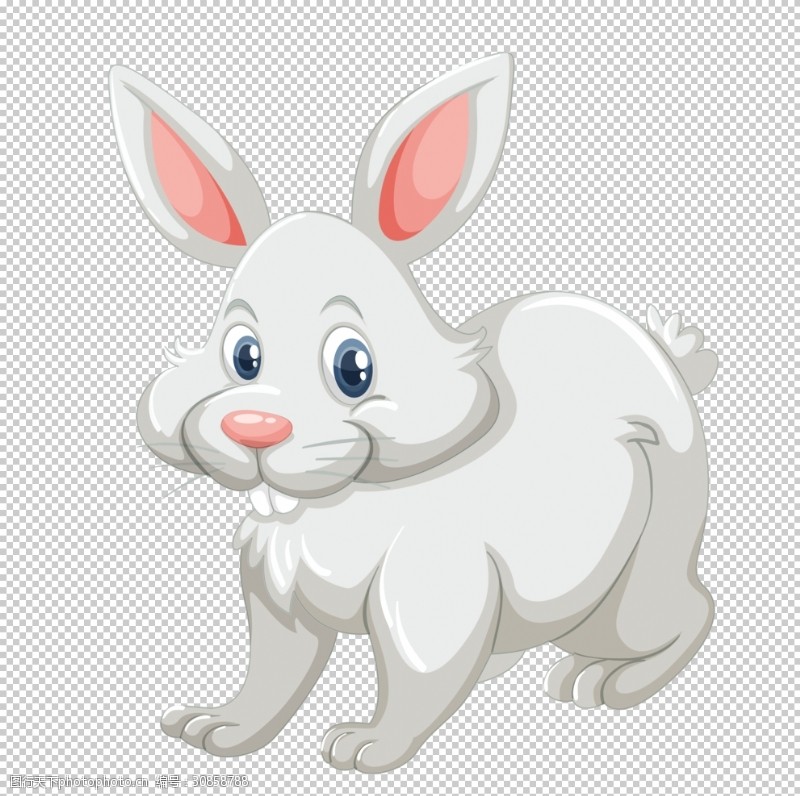 透明底兔子卡通兔子
