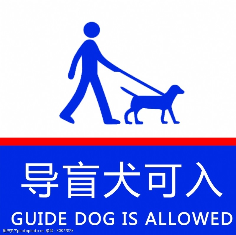 is导盲犬