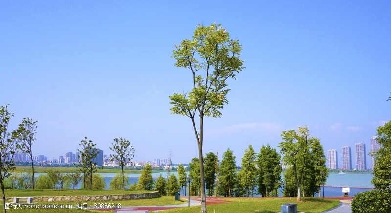 城市湿地公园风景