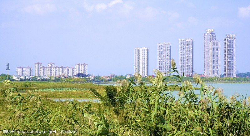 城市湿地公园风景