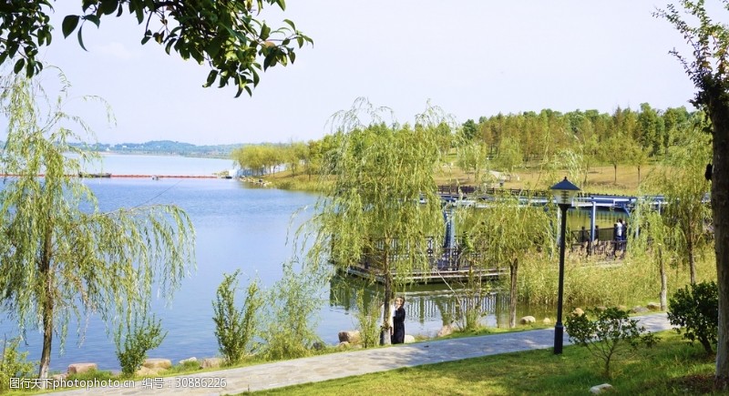 城市湿地公园湖畔植被