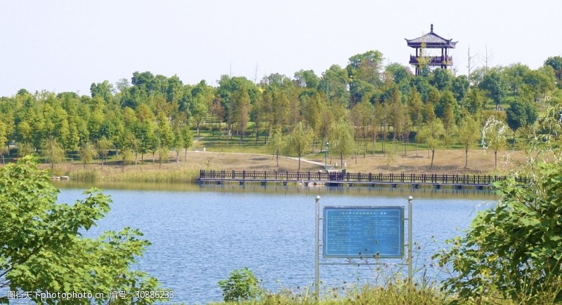 城市湿地公园情景