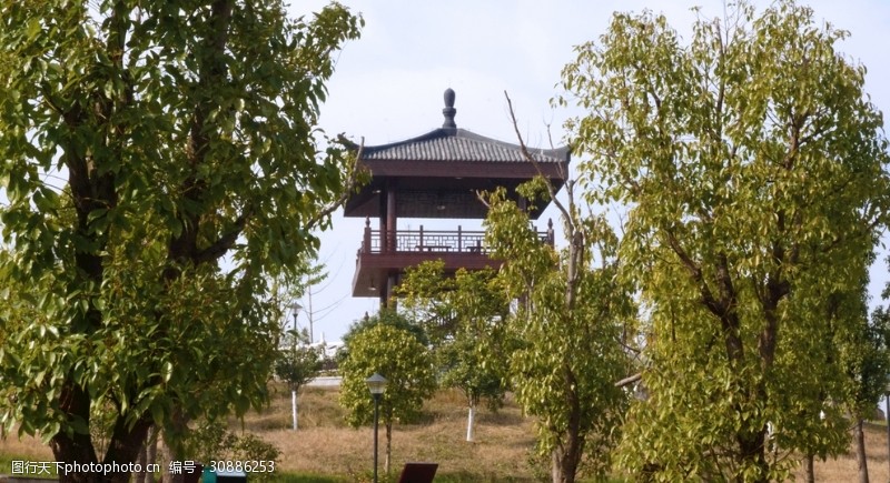 城市湿地观鸟亭