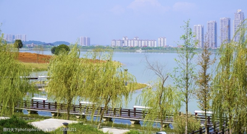城市湿地湖畔风景