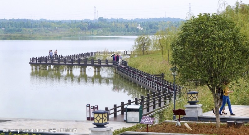 城市湿地湖畔木栏桥