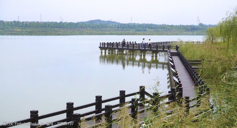 人文景观湖畔木栏桥