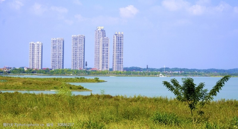 城市湿地湖畔远眺