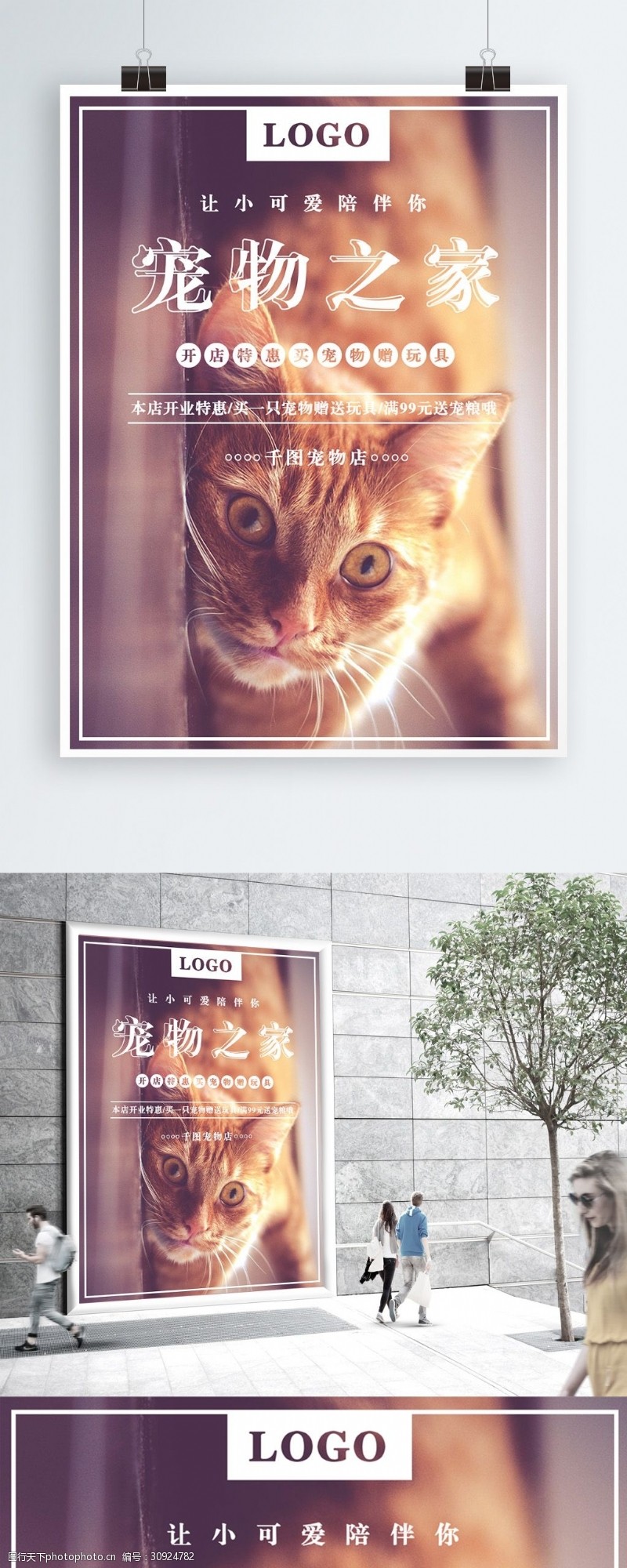 可爱温馨清新萌宠宠物猫促销海报