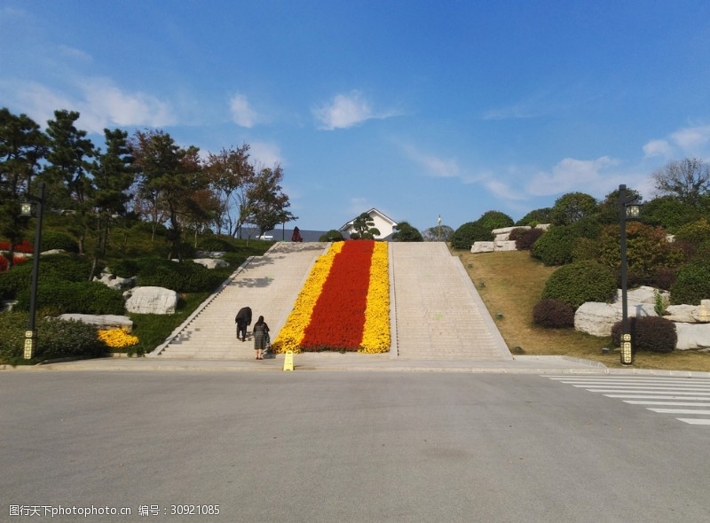 花卉主题花灯花卉台阶