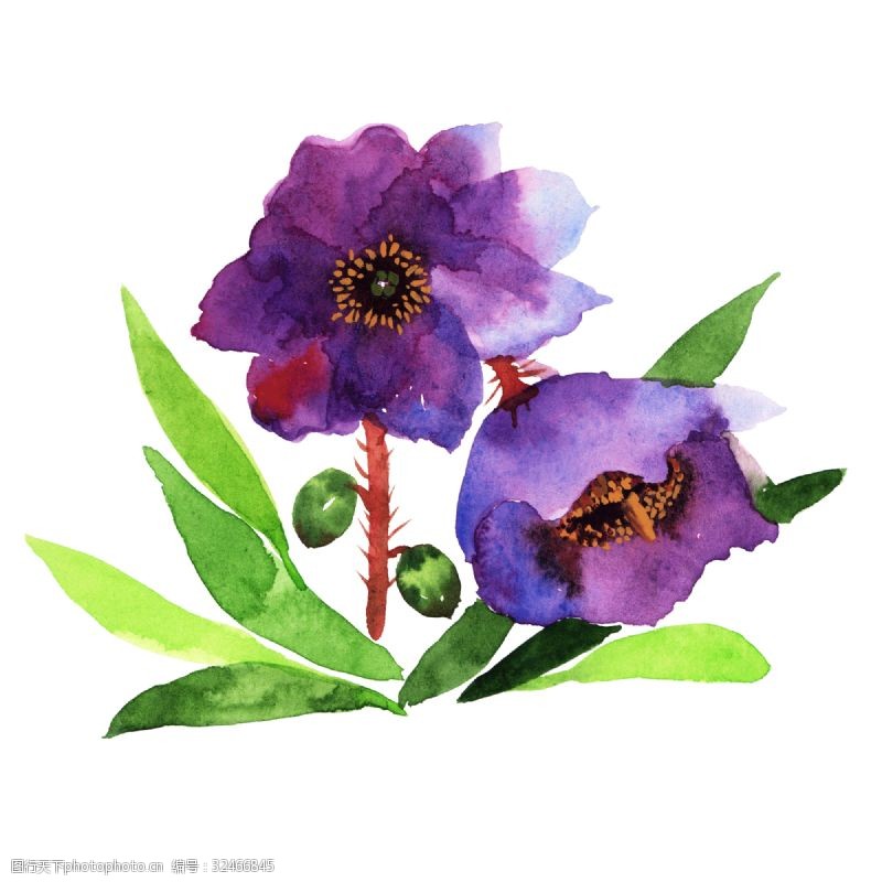 彩绘绿色树叶卡通紫色鲜花插画