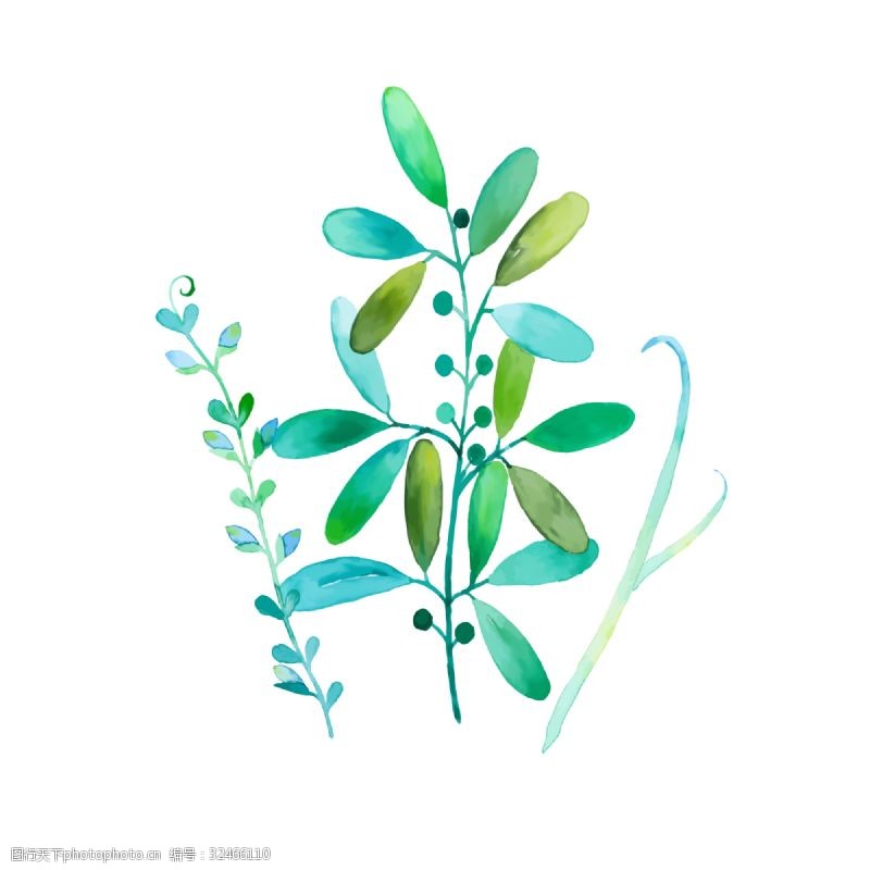 彩绘绿色树叶手绘水彩植物花草