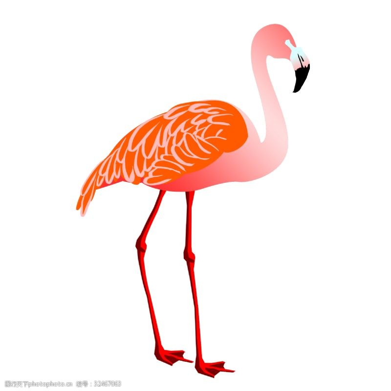 粉色火烈鸟手绘创意卡通火烈鸟