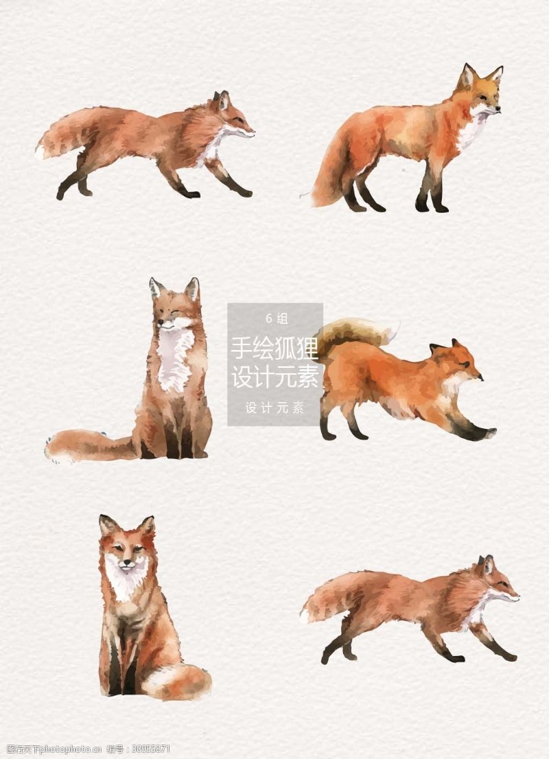 手绘狐狸插画设计元素