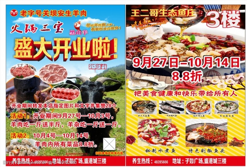 鱼火锅宣传单羊肉鱼肉宣传单