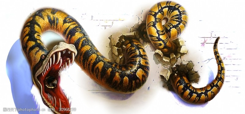 瓷砖展厅蛇