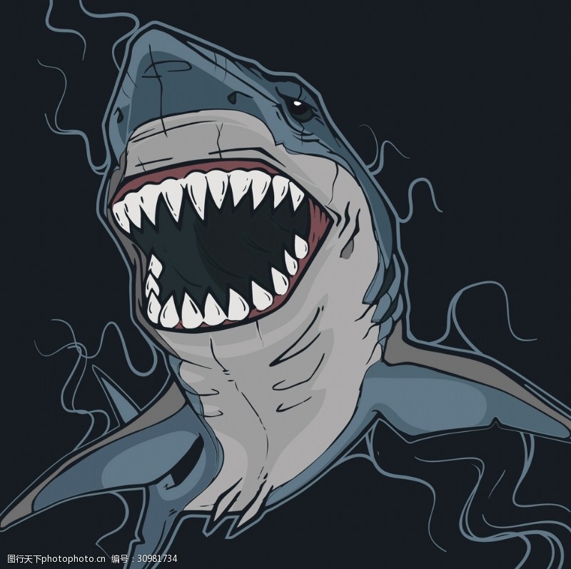 捕食危险的鲨鱼插图