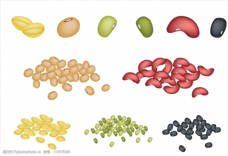 蔬菜种类各类豆子
