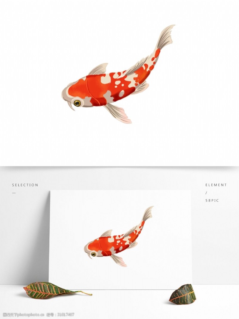 锦鲤可商用红色喜庆可爱中国风手绘金鱼装饰图案