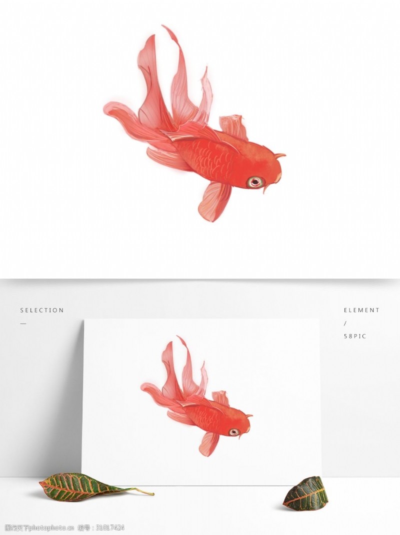 锦鲤可商用红色中国风手绘可爱新年金鱼装饰图案