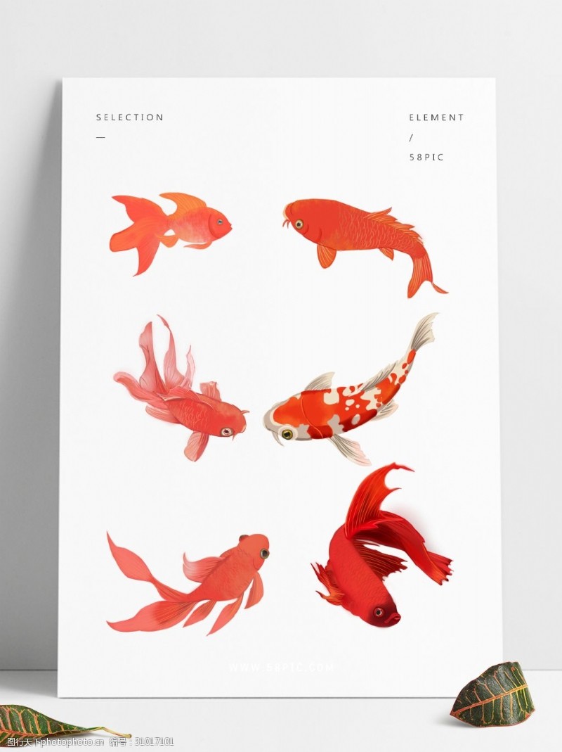 锦鲤可商用红色喜庆中国风手绘金鱼装饰图案合集