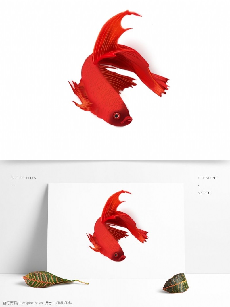 锦鲤可商用红色喜庆中国风新年手绘金鱼装饰图案